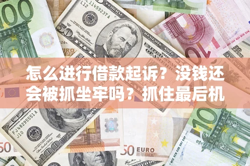 武汉怎么进行借款起诉？没钱还会被抓坐牢吗？抓住最后机会！