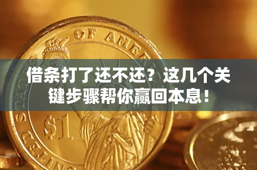武汉借条打了还不还？这几个关键步骤帮你赢回本息！
