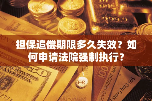 武汉担保追偿期限多久失效？如何申请法院强制执行？
