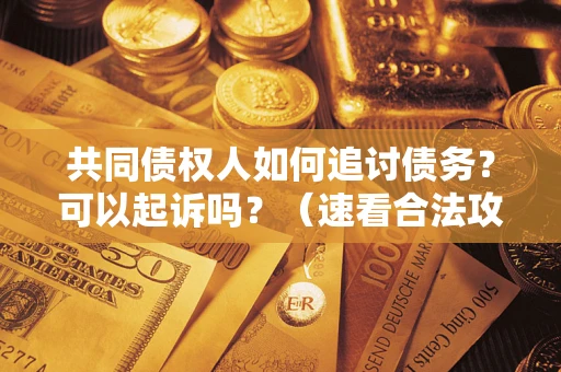 武汉共同债权人如何追讨债务？可以起诉吗？（速看合法攻略）