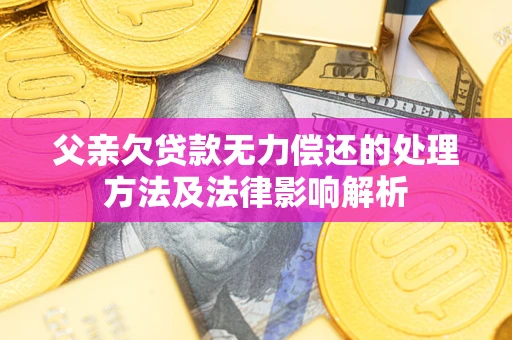 武汉父亲欠贷款无力偿还的处理方法及法律影响解析
