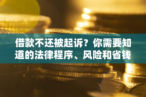 武汉借款不还被起诉？你需要知道的法律程序、风险和省钱技巧